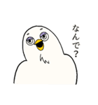 くどいカオのトリ（個別スタンプ：6）