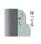 くどいカオのトリ（個別スタンプ：29）