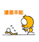 The chick 8 (2)（個別スタンプ：34）