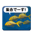 沖縄お魚2（個別スタンプ：21）