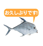 沖縄お魚3（個別スタンプ：9）