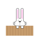 BUNNY The Little Cute White Rabbit（個別スタンプ：13）