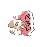 オタクの犬（個別スタンプ：4）