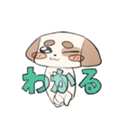 オタクの犬（個別スタンプ：20）