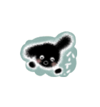 トイプードル こてつくん（個別スタンプ：1）