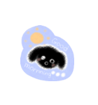 トイプードル こてつくん（個別スタンプ：2）