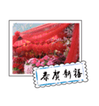 Chinese New Year greeting card（個別スタンプ：2）