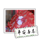 Chinese New Year greeting card（個別スタンプ：10）