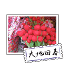 Chinese New Year greeting card（個別スタンプ：14）