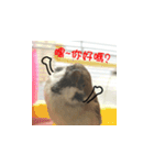 happy sparrow-doudou（個別スタンプ：2）