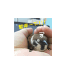 happy sparrow-doudou（個別スタンプ：18）