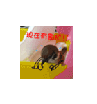 happy sparrow-doudou（個別スタンプ：19）