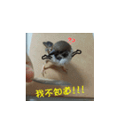 happy sparrow-doudou（個別スタンプ：20）