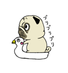 ブサカワなパグ（個別スタンプ：3）
