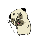 ブサカワなパグ（個別スタンプ：21）
