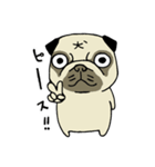 ブサカワなパグ（個別スタンプ：31）