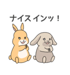 元気いっぱい！ふかとくりん（個別スタンプ：20）