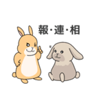 元気いっぱい！ふかとくりん（個別スタンプ：21）