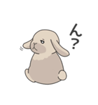 元気いっぱい！ふかとくりん（個別スタンプ：37）