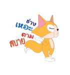Rookie Fox（個別スタンプ：17）