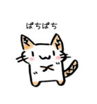 たけのこねこ（個別スタンプ：7）