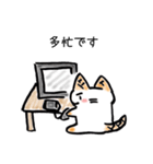 たけのこねこ（個別スタンプ：20）