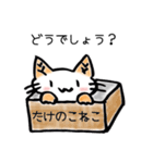 たけのこねこ（個別スタンプ：24）