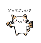 たけのこねこ（個別スタンプ：28）