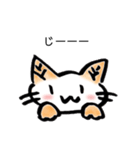 たけのこねこ（個別スタンプ：40）