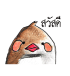"Kaolia"The Fantastic Bird（個別スタンプ：1）