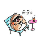 "Kaolia"The Fantastic Bird（個別スタンプ：22）