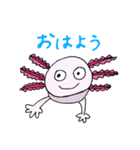 シュールなウーパールーパー（個別スタンプ：3）