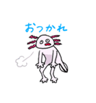 シュールなウーパールーパー（個別スタンプ：5）