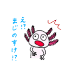 シュールなウーパールーパー（個別スタンプ：12）