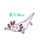 シュールなウーパールーパー（個別スタンプ：20）