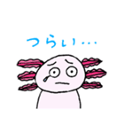 シュールなウーパールーパー（個別スタンプ：21）