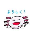 シュールなウーパールーパー（個別スタンプ：31）