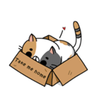 Cat Ngai（個別スタンプ：4）