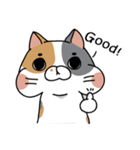 Cat Ngai（個別スタンプ：11）