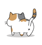 Cat Ngai（個別スタンプ：20）