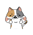 Cat Ngai（個別スタンプ：39）
