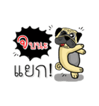 pug for you（個別スタンプ：1）