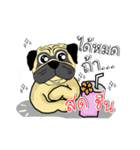 pug for you（個別スタンプ：3）