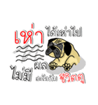 pug for you（個別スタンプ：9）