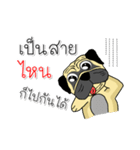 pug for you（個別スタンプ：12）