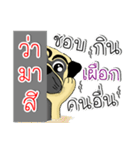 pug for you（個別スタンプ：14）