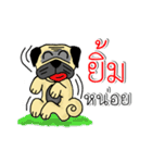 pug for you（個別スタンプ：17）
