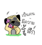 pug for you（個別スタンプ：24）
