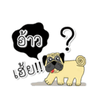 pug for you（個別スタンプ：25）
