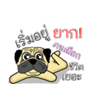 pug for you（個別スタンプ：26）